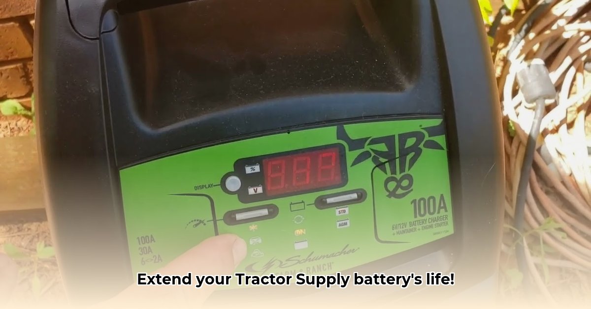 tractor-supply-battery-tender